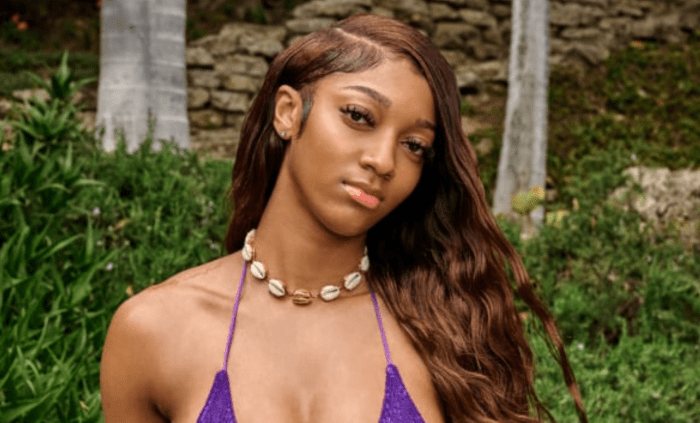 Angel Reese Shares Stunning Swimsuit Photos From Jamaica Trip The Spun