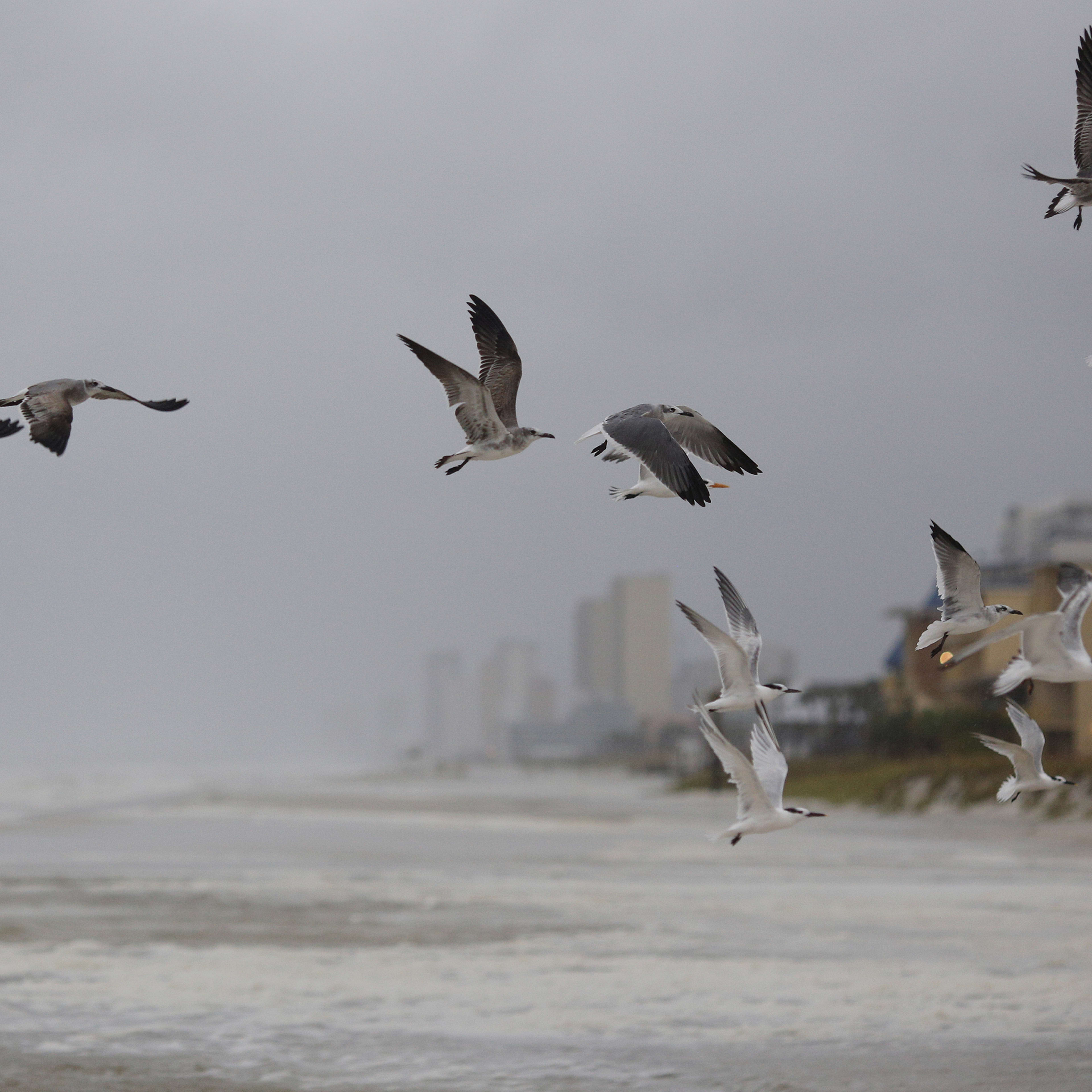 Jason Collins Nba S First Openly Gay Player Announces Devastating Health News The Spun