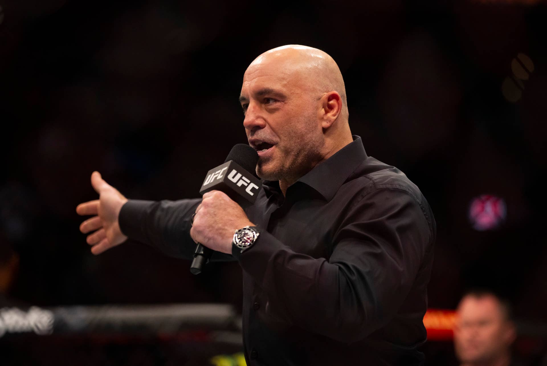 The UFC Was Pressured To Fire Joe Rogan The Spun the-ufc-was-pressured-to-fire-joe-rogan-the-spun
