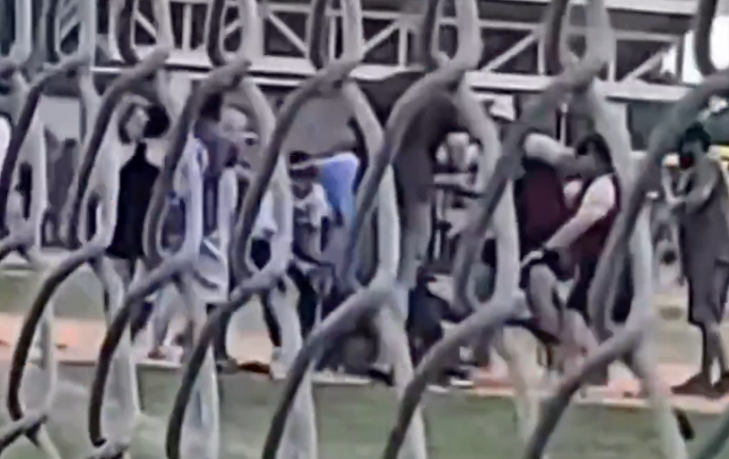 Despicable Brawl Breaks Out During 8U Youth Baseball Game (Video) - The ...