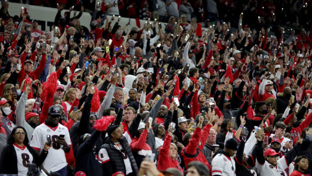 Georgia fans cheer during the national championship game against Alabama.