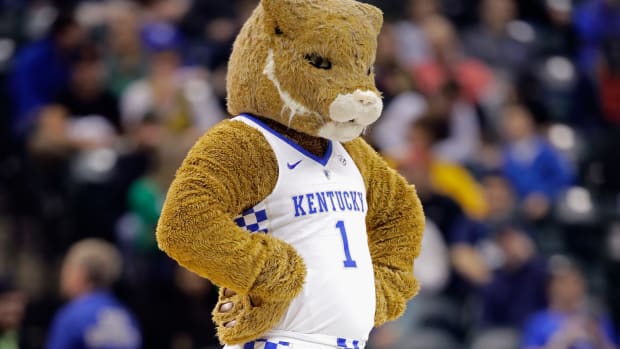 A solo shot of Kentucky's mascot.