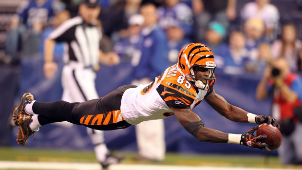Chad Johnson dives to catch ball with the Cincinnati Bengals.