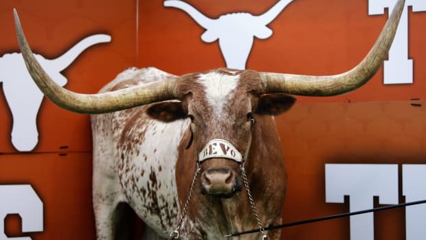 The Texas Longhorns mascot Bevo standing in his corner during a game.