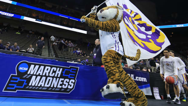 LSU's mascot leading the basketball team onto the court.