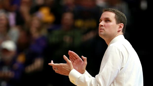 A closeup of LSU Tigers coach Will Wade during a game.