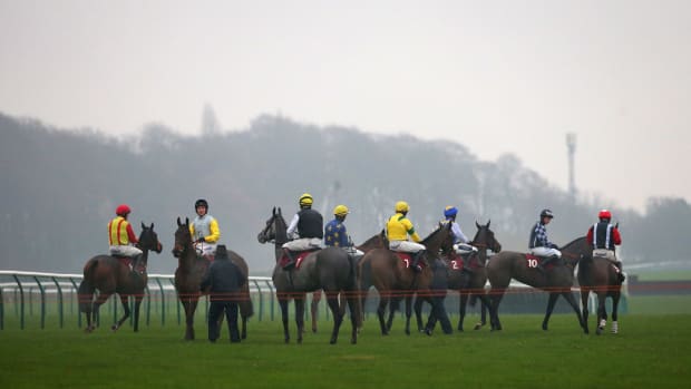 an overview of the haydock horse racing course