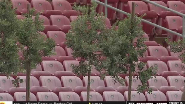 Stanford football has trees in the stands for 2020.
