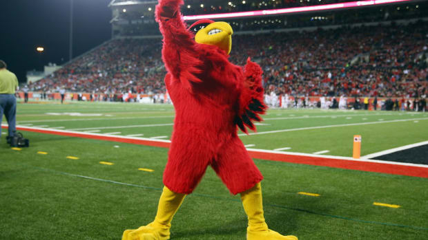 A solo shot of Louisville's mascot performing at a football game.