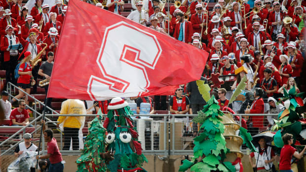 Stanford's tree mascot at a football game.