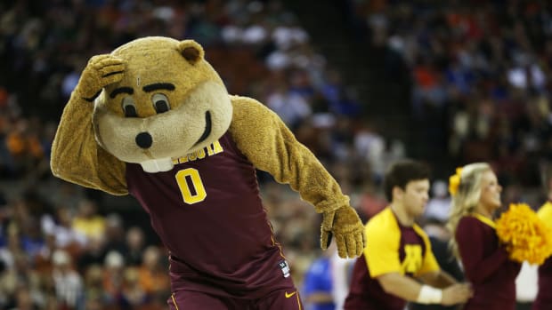 A closeup of Minnesota's mascot.
