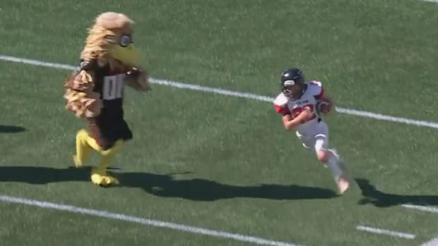 Viral mascot hit during the Falcons game.