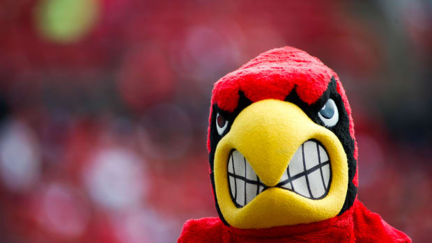 A head shot of a Louisville mascot.