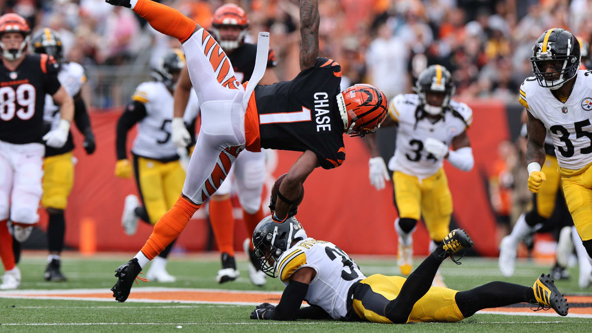 Pittsburgh Steelers vs. Cincinnati Bengals