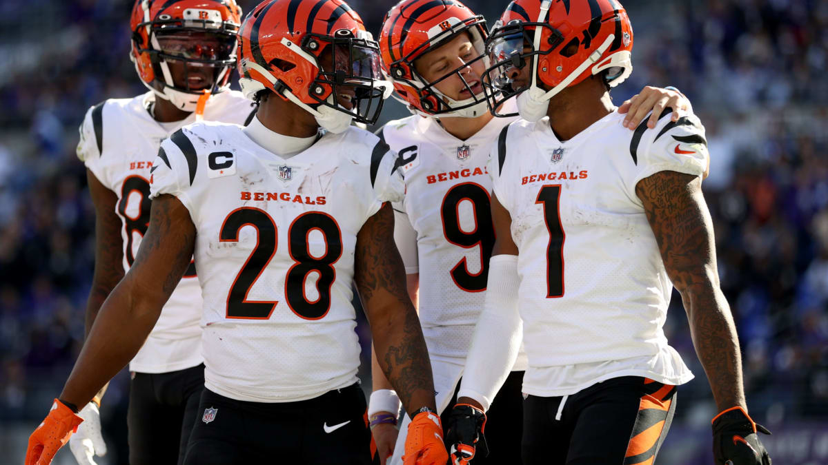 Cincinnati Bengals running back Joe Mixon (28) celebrates after his  touchdown during the second half of