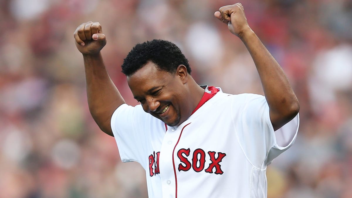 pedro martinez speaks don zimmer｜TikTok Search