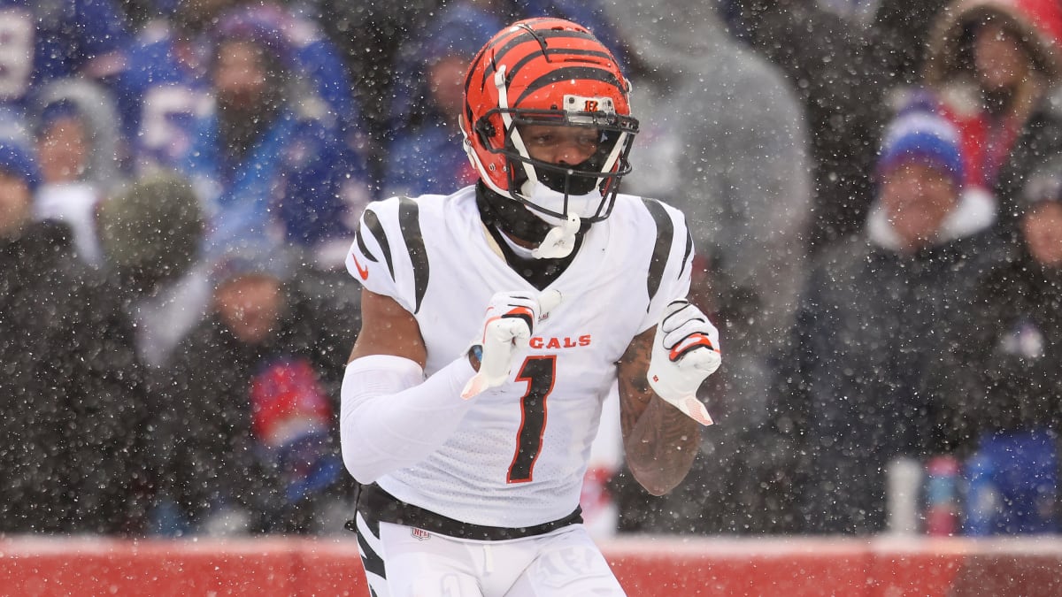 Cincinnati Bengals vs. Buffalo Bills, AFC Playoffs