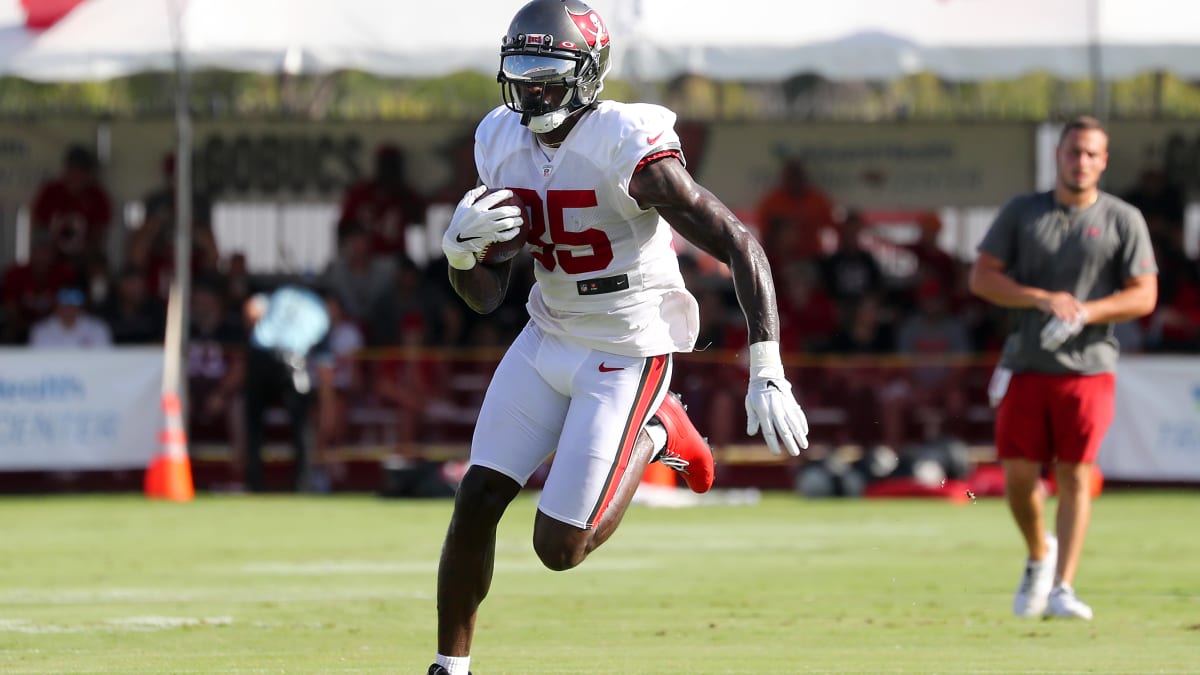 Fantasy Alert: Bucs WR Julio Jones 'Has Been One of the Stars of Camp,'  Says MMQB, News, Scores, Highlights, Stats, and Rumors