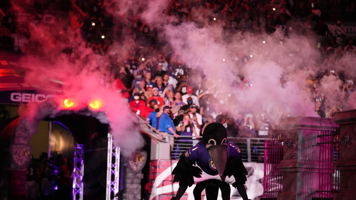 NFL world reacts to Ravens' mascot injury update