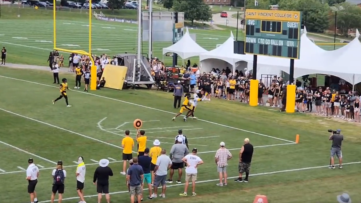 LOOK: Steelers' George Pickens makes ridiculous one-handed catch