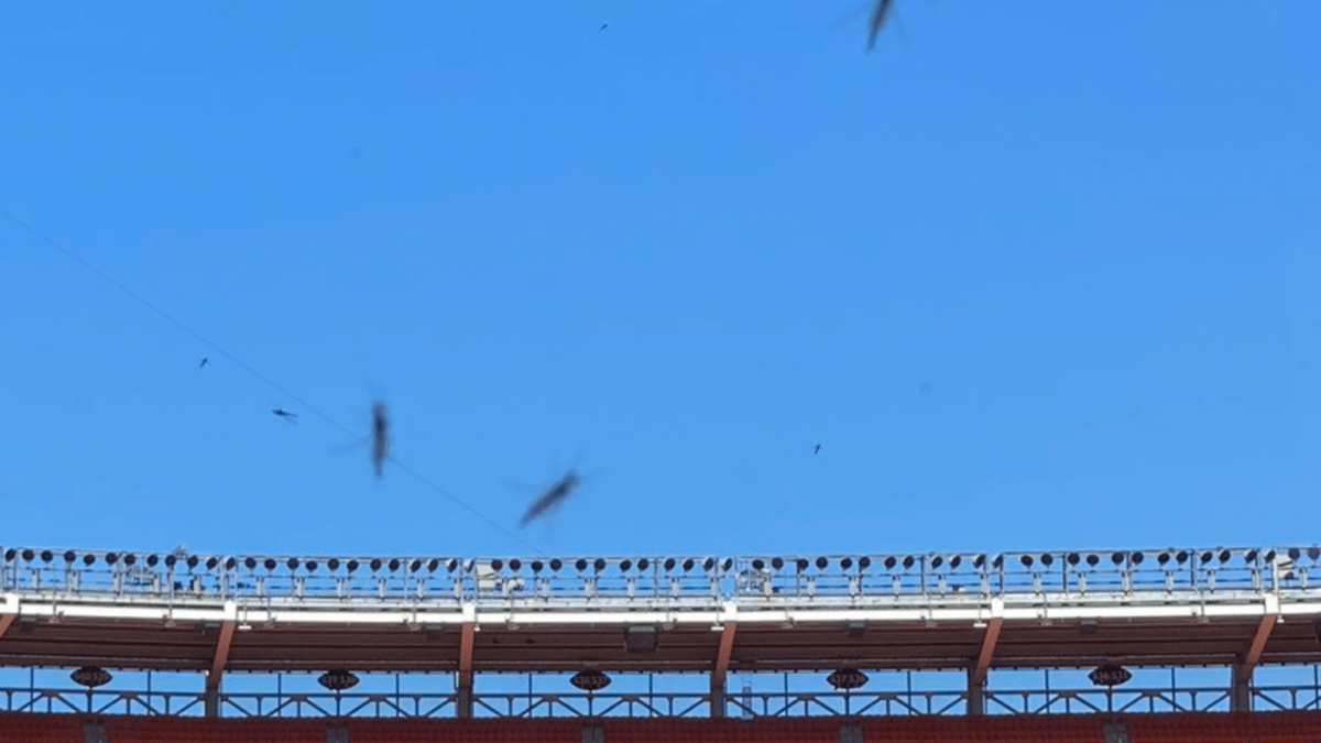 A glimpse at the Browns' new 1,250-seat grandstand for fans in