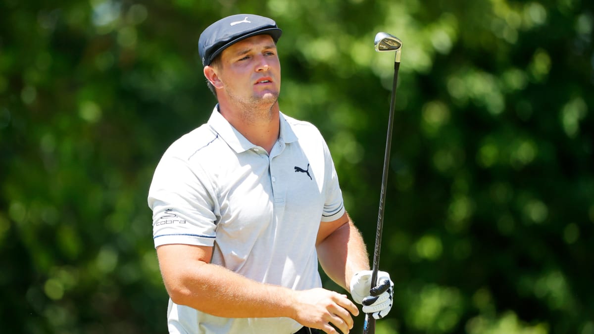 Bryson dechambeau online strength training