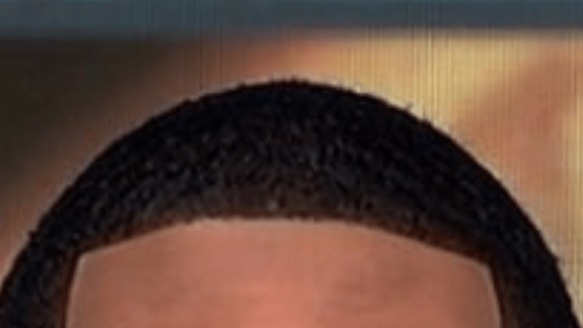 Jalen Rose s Hair On ESPN s First Take Is Going Viral The Spun