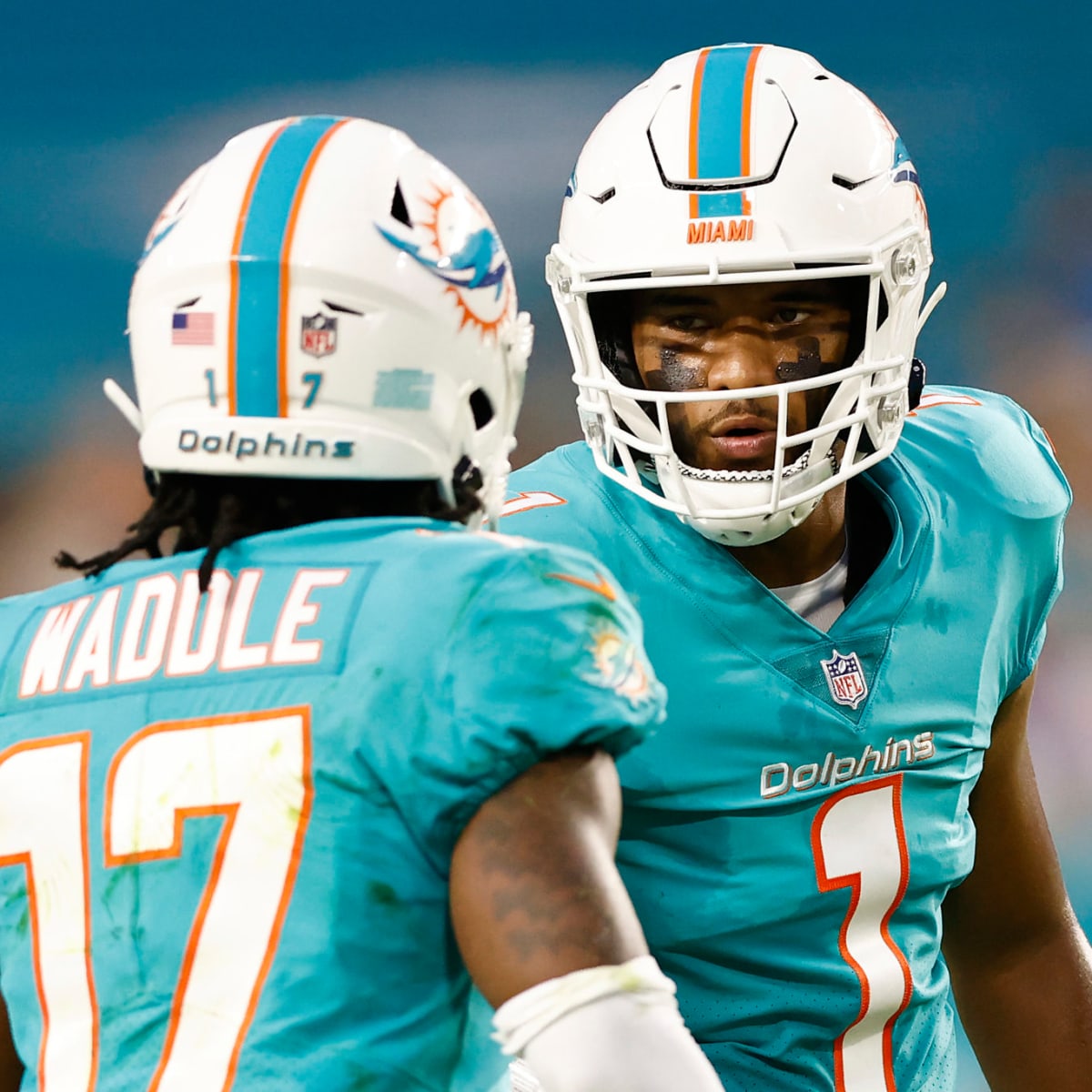 Miami Dolphins: By the numbers