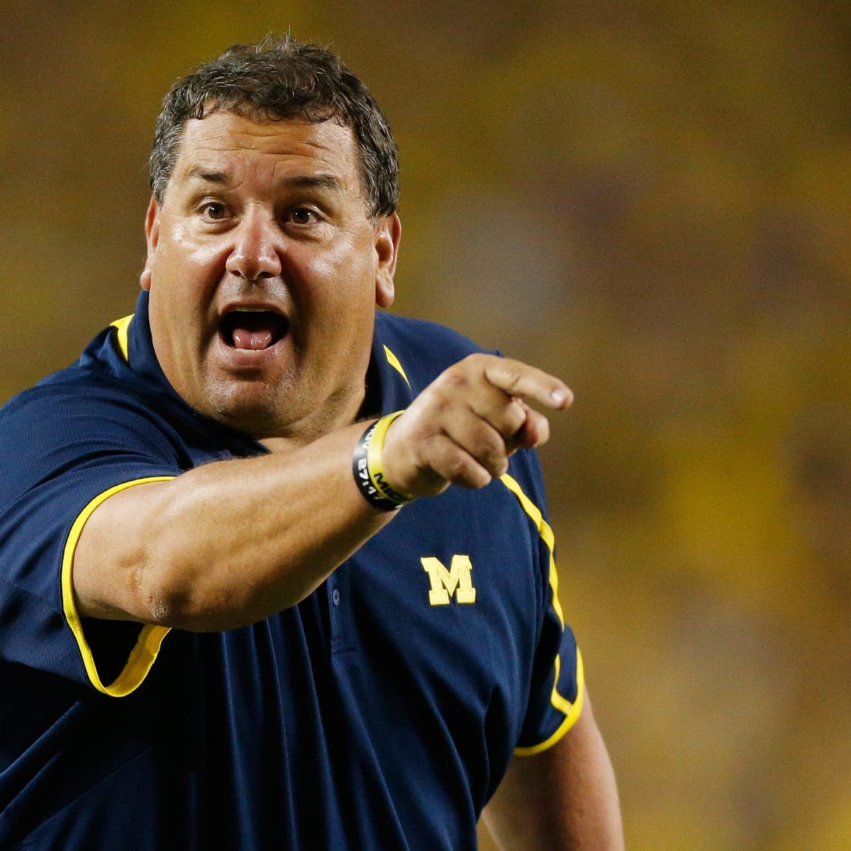 Carolina Panthers fire ex-Michigan football coach Brady Hoke