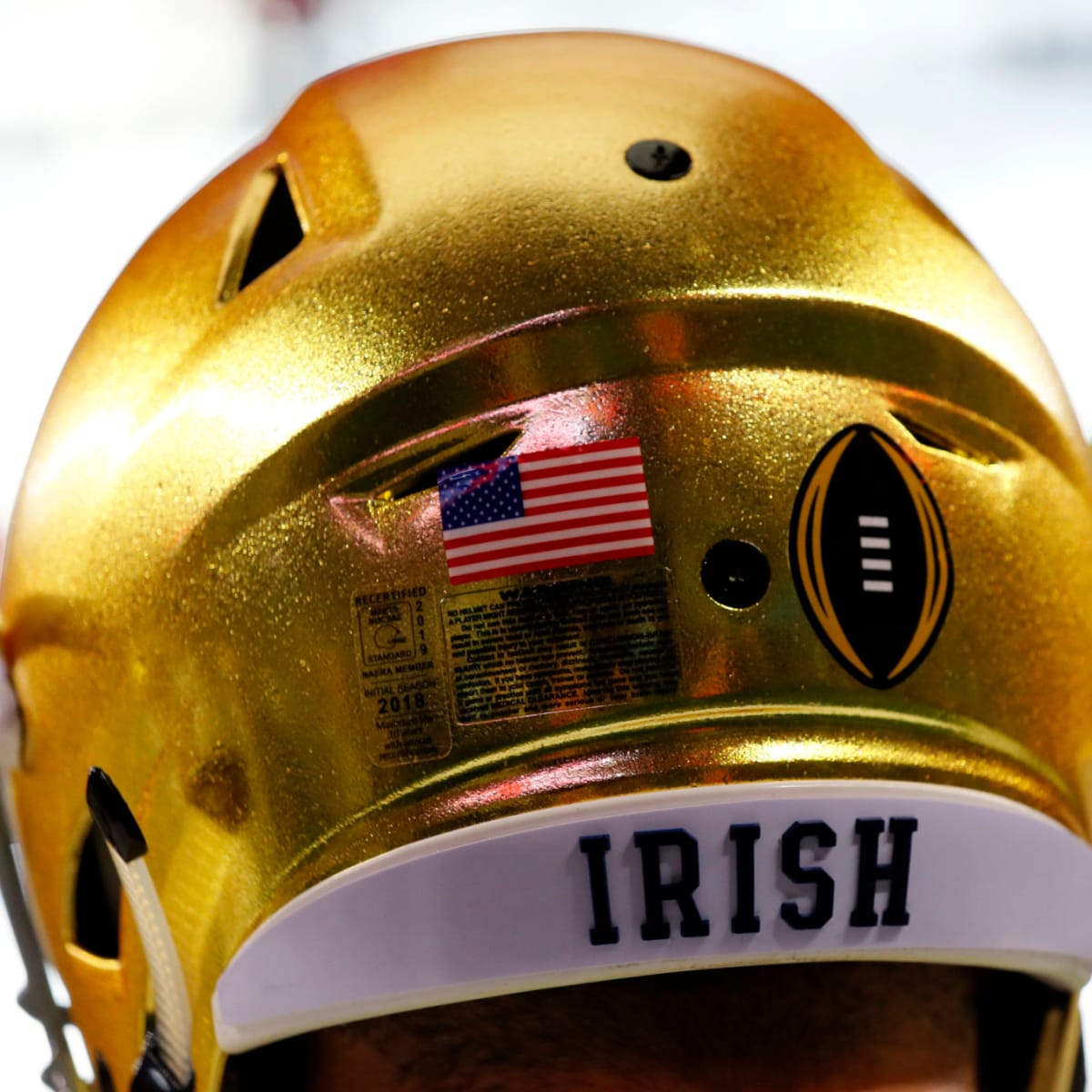 Former Notre Dame Fighting Irish Football Star Nose Tackle Louis