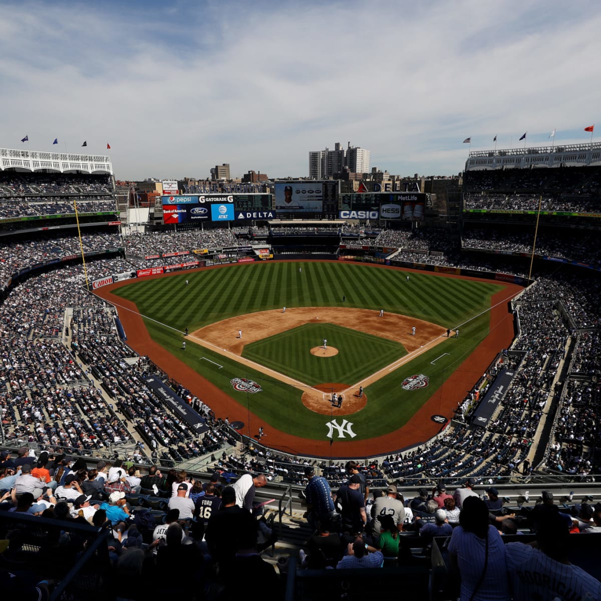 New York Yankees, Chicago White Sox Benches Clear at Yankee