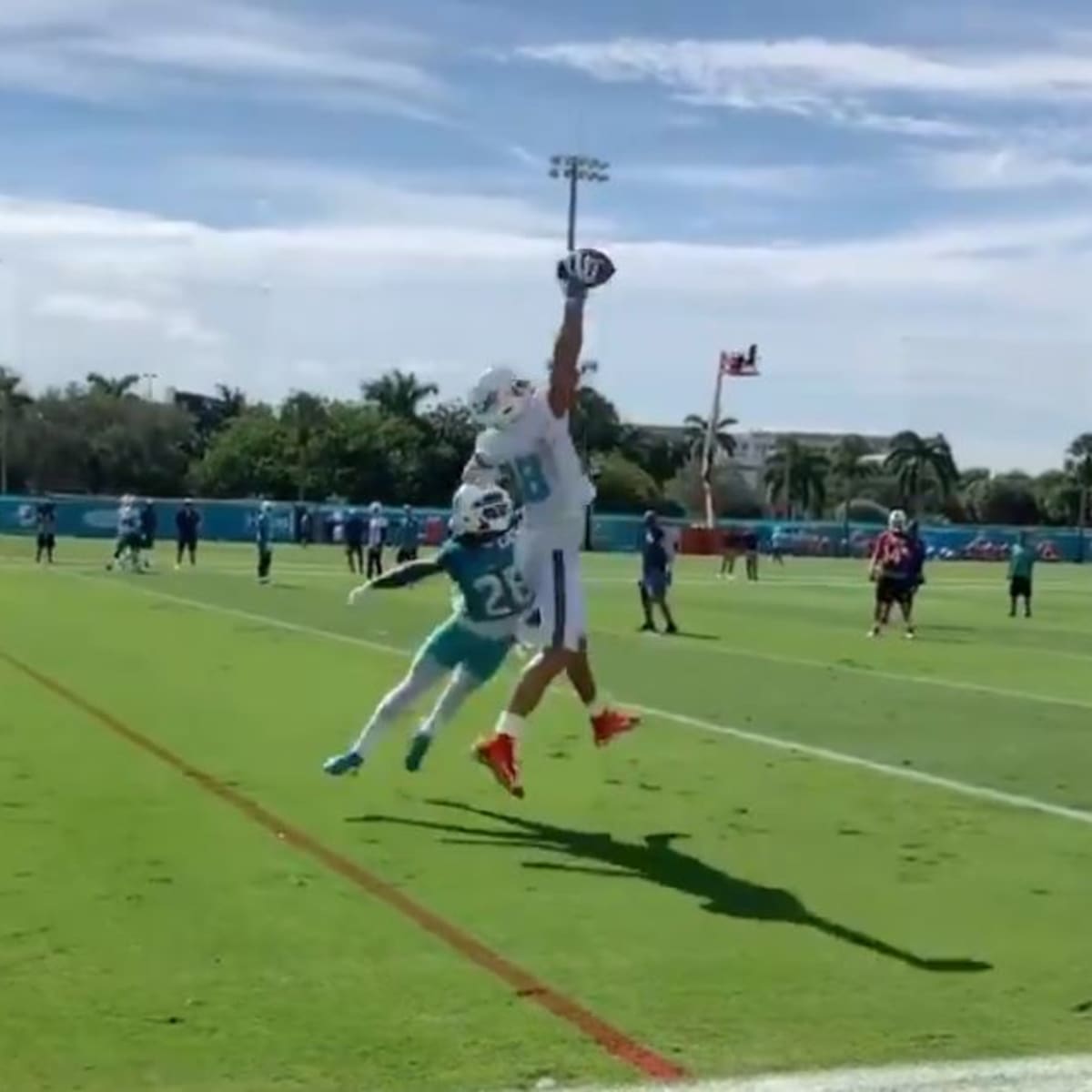 Watch the Magic of Miami Dolphins' Mike Gesicki's One-Hand Grabs