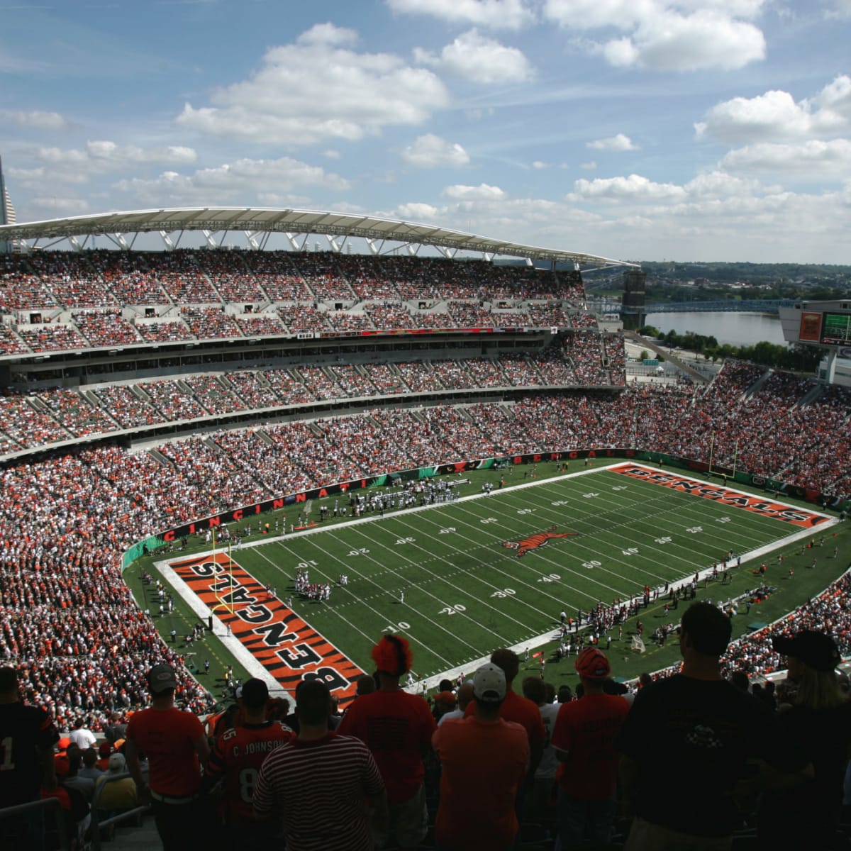 Bengals Stadium, Cincinnati Football Turf