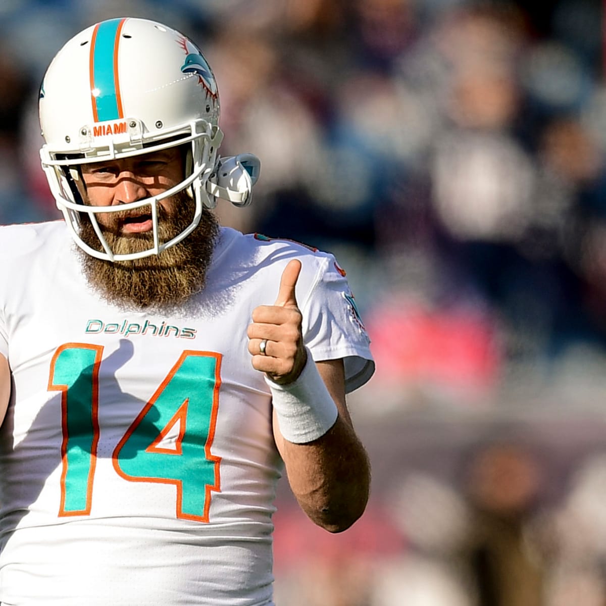 Ryan Fitzpatrick and the Dolphins dominate the 49ers - NBC Sports