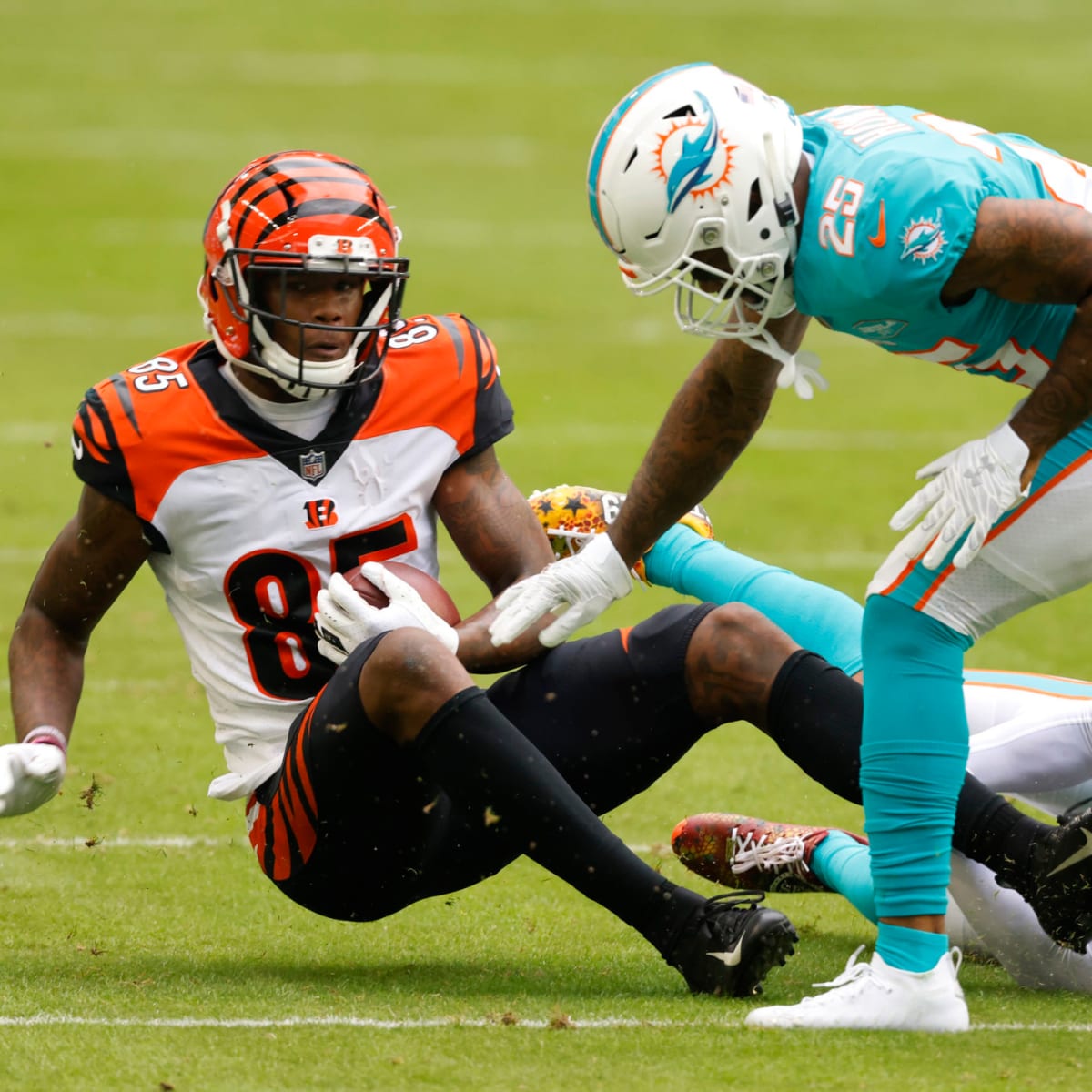 Watch: Controversial Ejections In The Bengals vs. Dolphins Game - The Spun:  What's Trending In The Sports World Today
