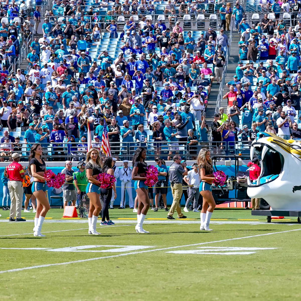 Jaguars mascot draws attention with unusual outfit