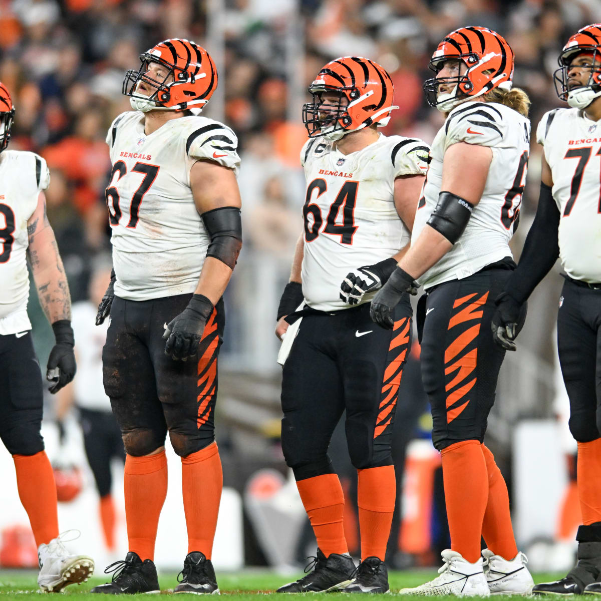 bengals against the world