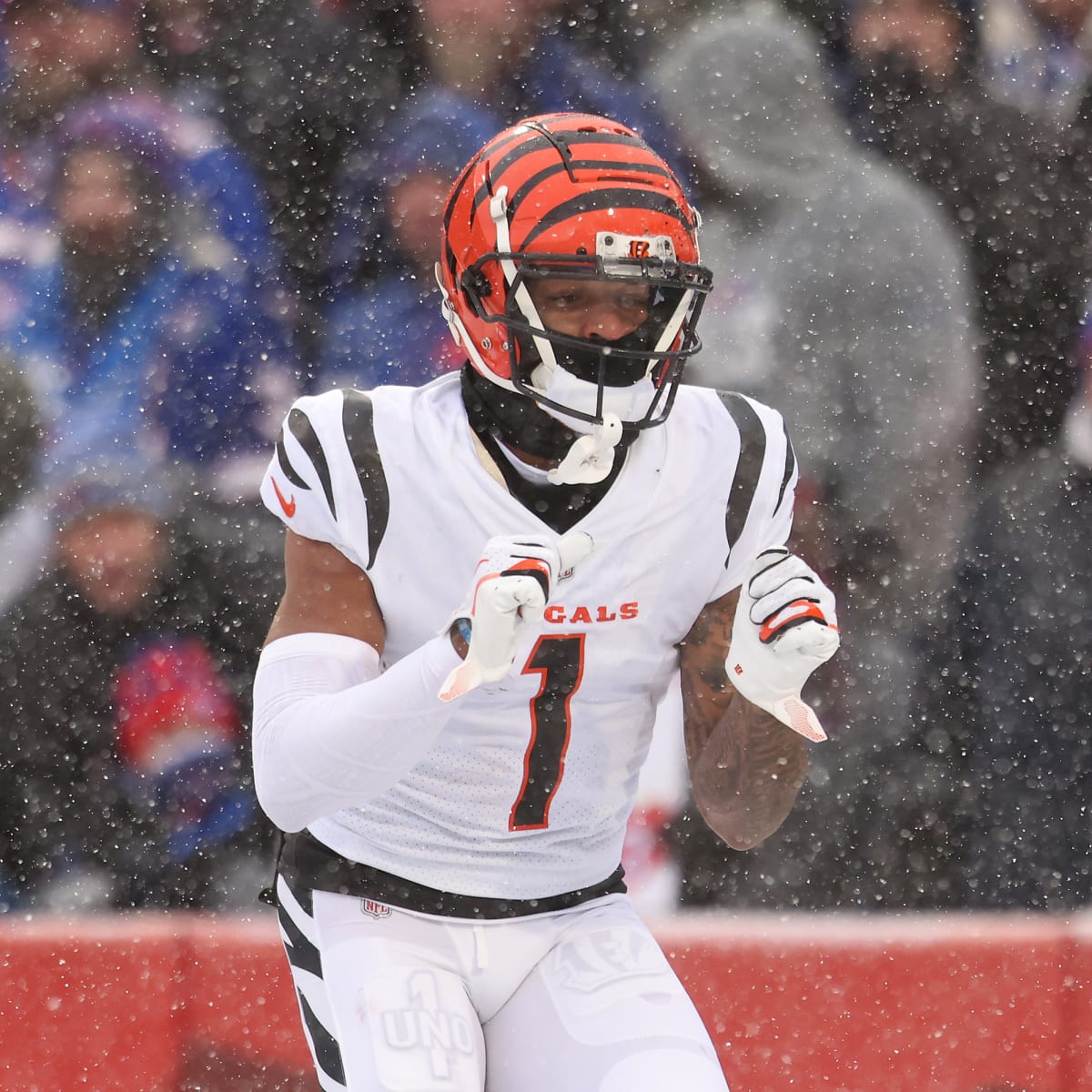 Cincinnati Bengals wide receiver Ja'Marr Chase catches a pass during  News Photo - Getty Images