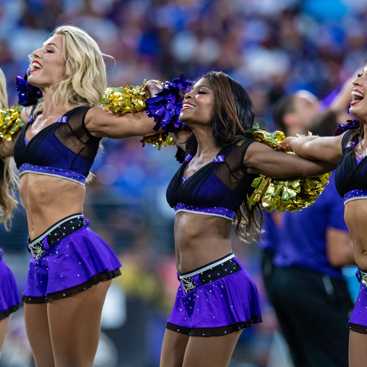 Baltimore Ravens Cheerleaders  Ravens cheerleaders, Hottest nfl  cheerleaders, Nfl cheerleaders