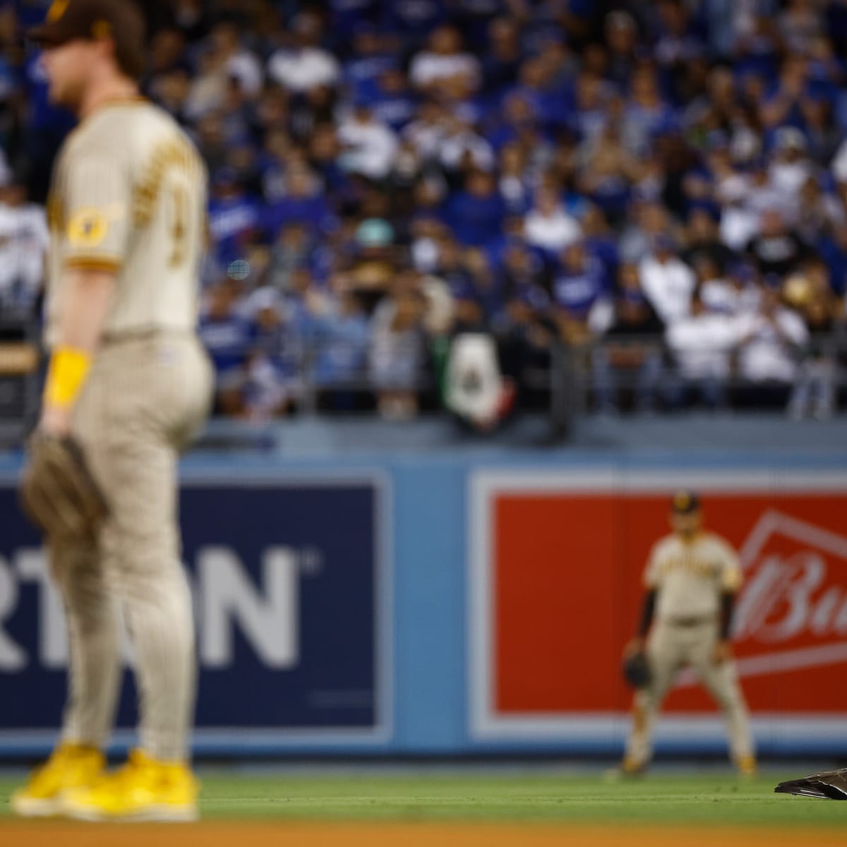 MLB World Reacts To Wild Animal Delaying Dodgers-Padres Game - The Spun:  What's Trending In The Sports World Today