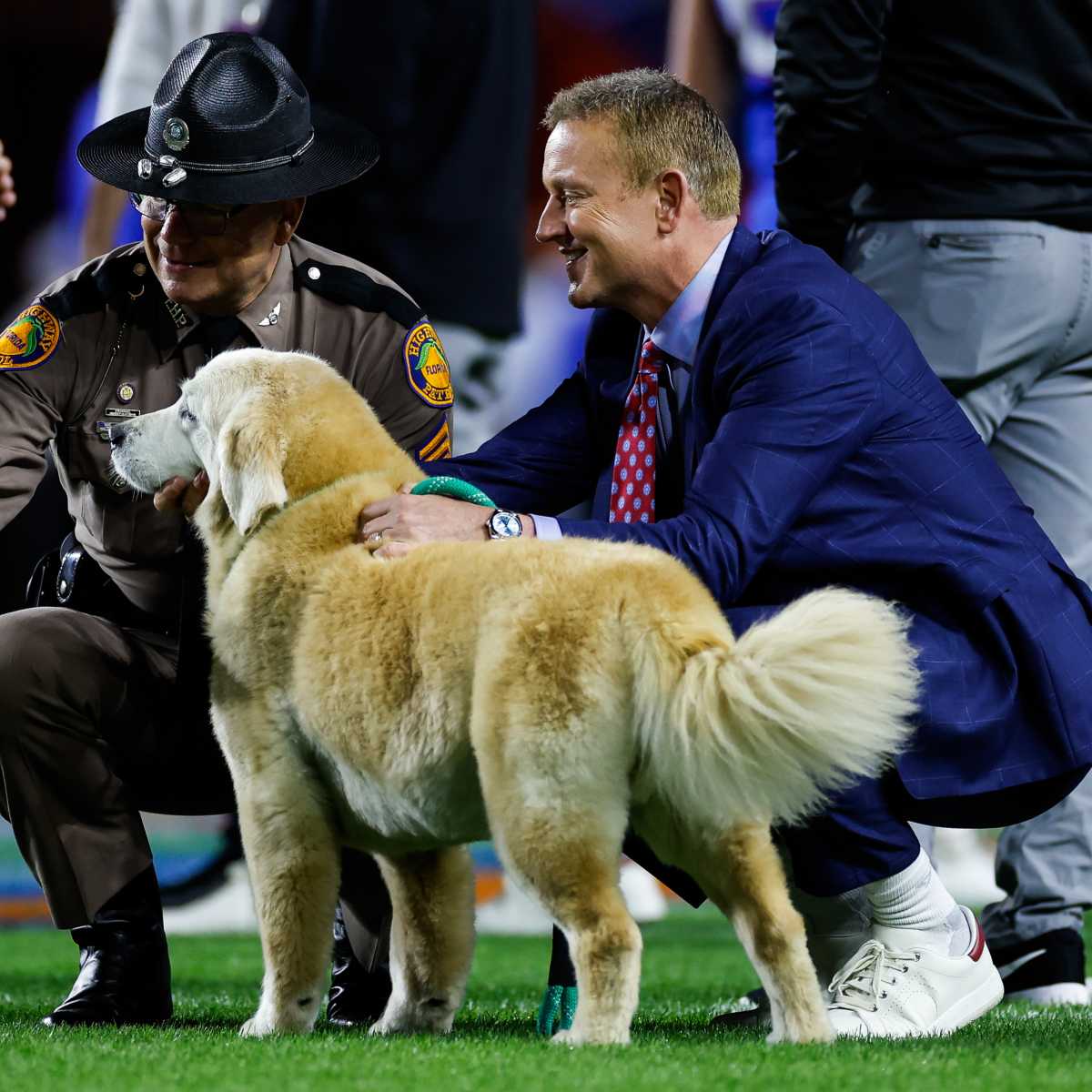 Preparation for Golden Gate Kennel Club Dog Show - 2025