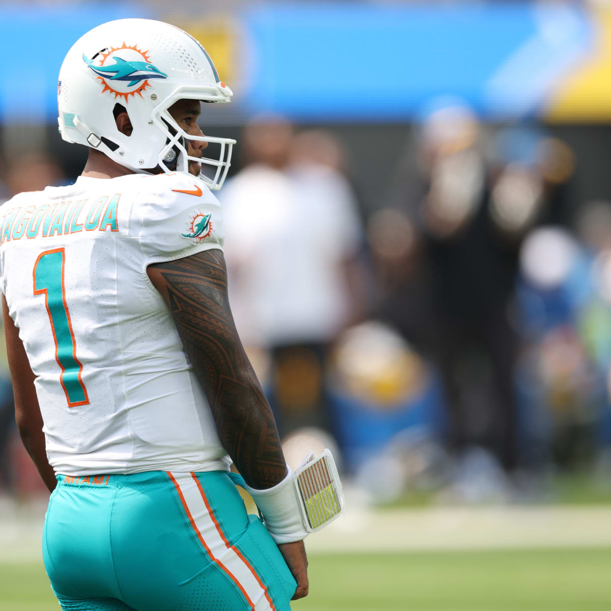 Significant Thursday Update On Miami Dolphins' Quarterback Situation 