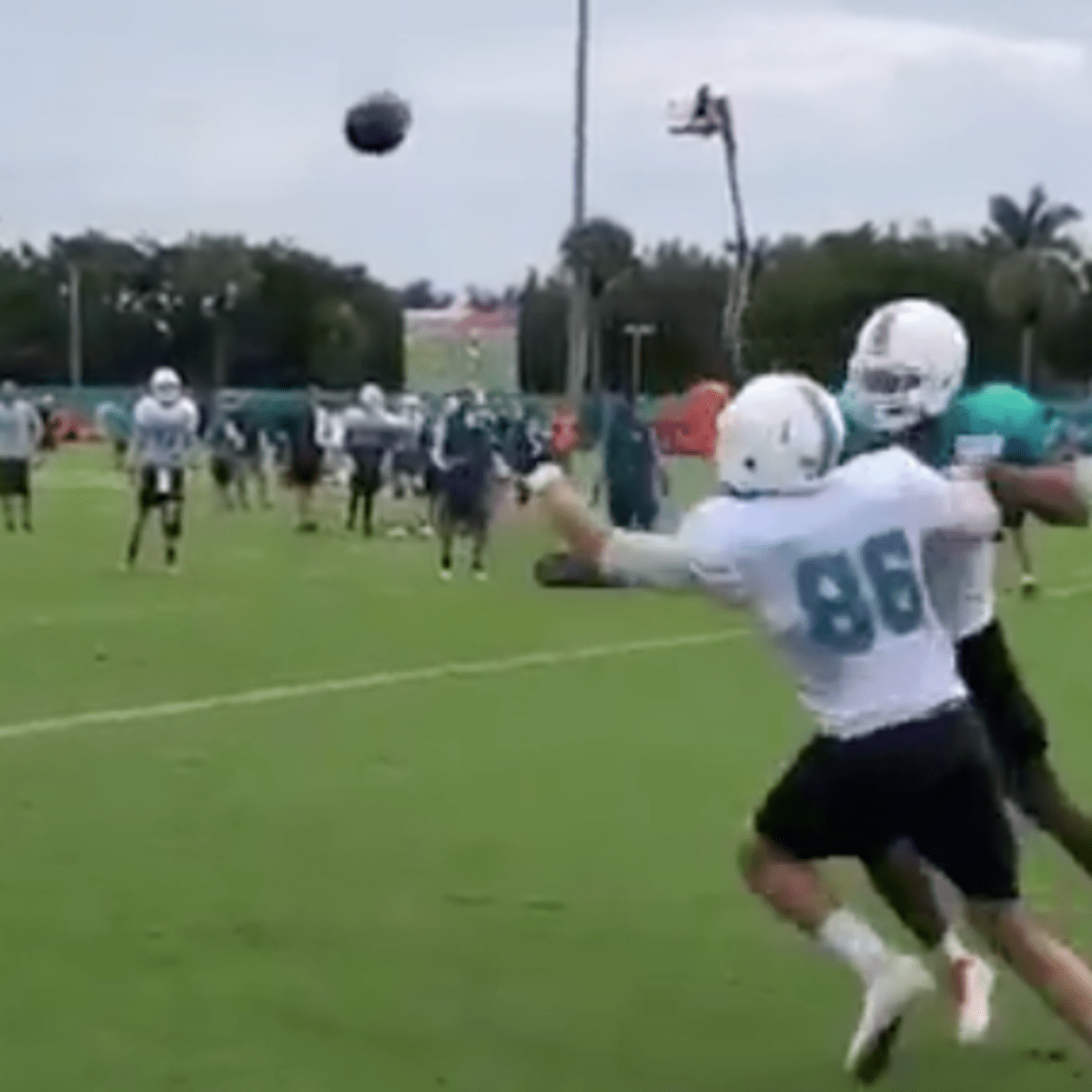 Mike Gesicki hasn't 'scratched the surface' of potential entering Dolphins'  mini-camp 