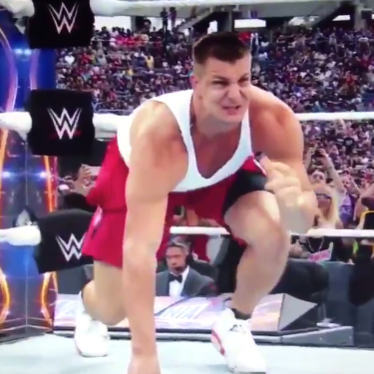 Rob Gronkowski is an absolute maniac in the ring at Wrestlemania