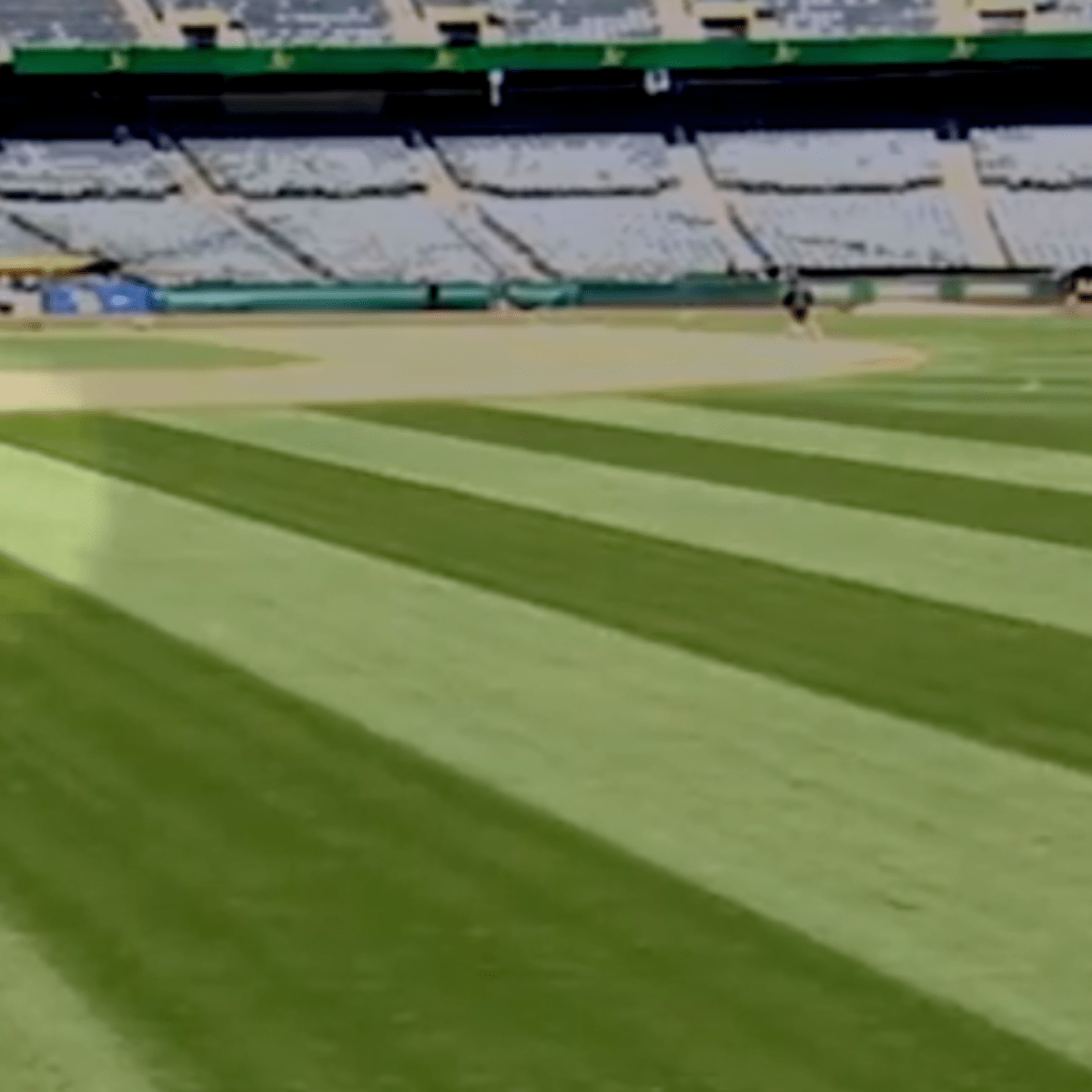 Incredible video shows moment high-school pitcher hits a bird