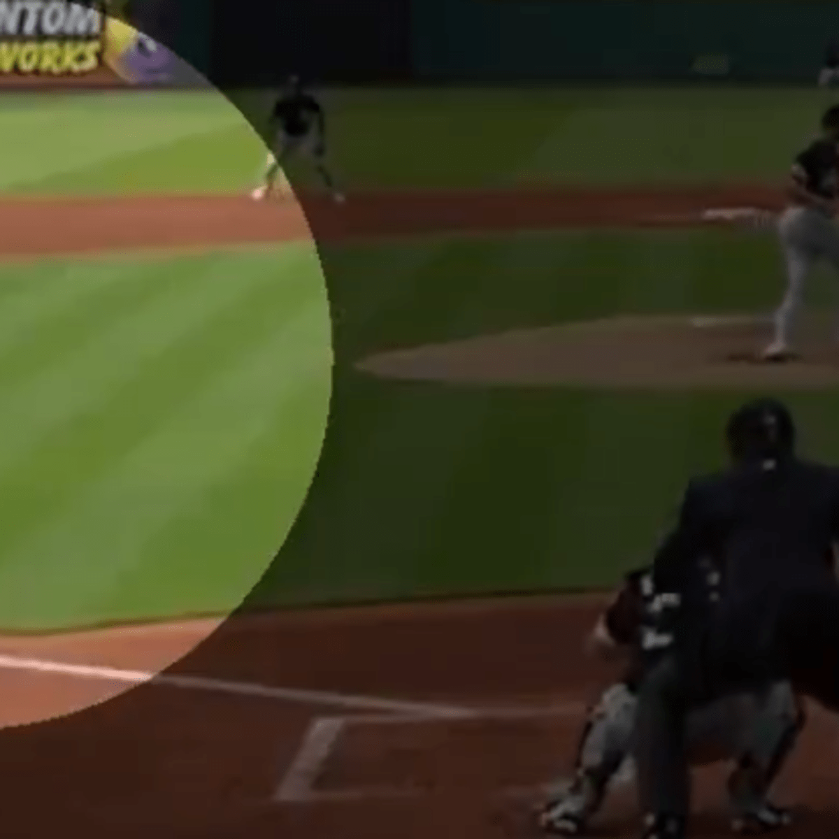 MLB Arizona Diamondbacks pitcher Zac Gallen kills bird with curve ball