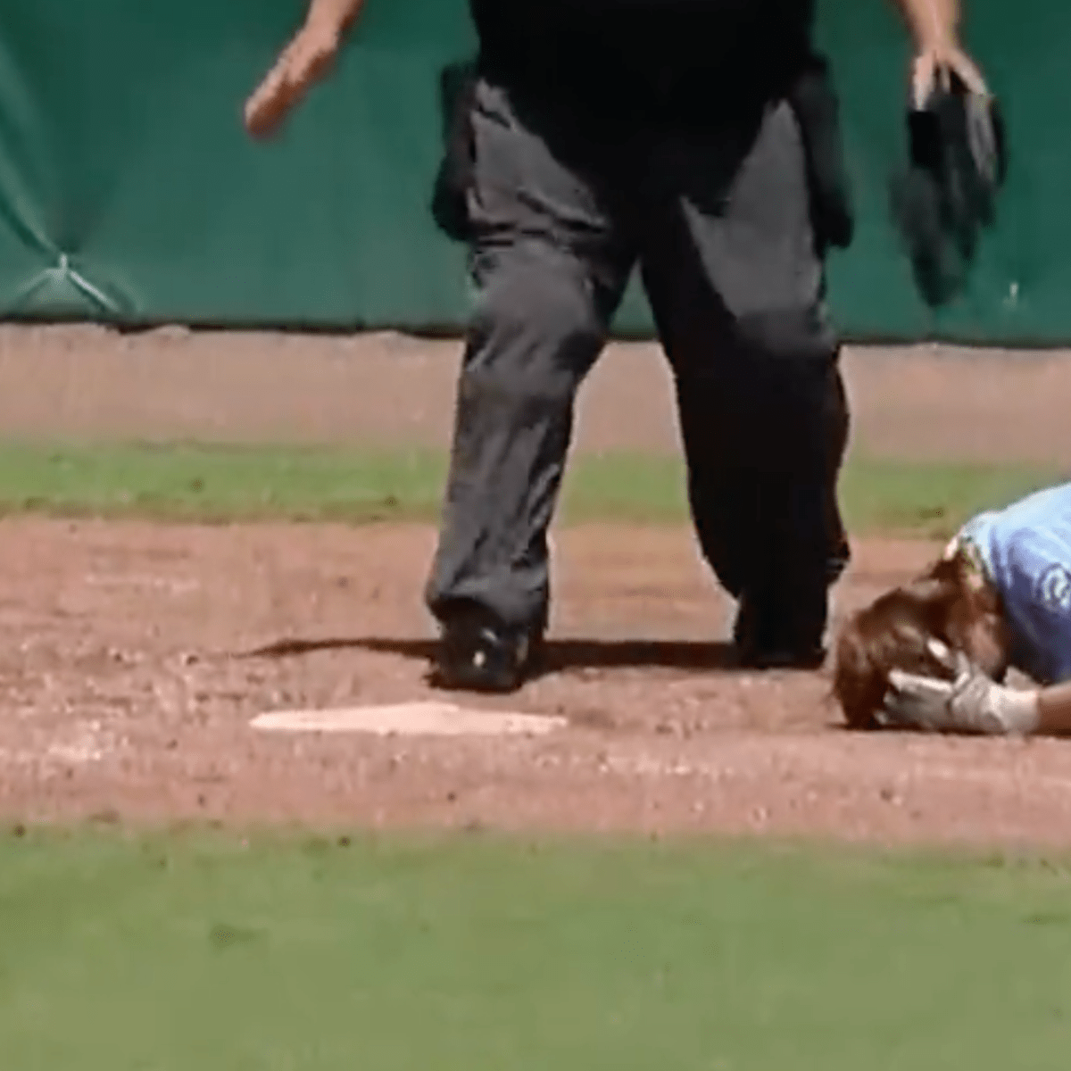 Watch Scary Hit-By-Pitch During Little League World Series