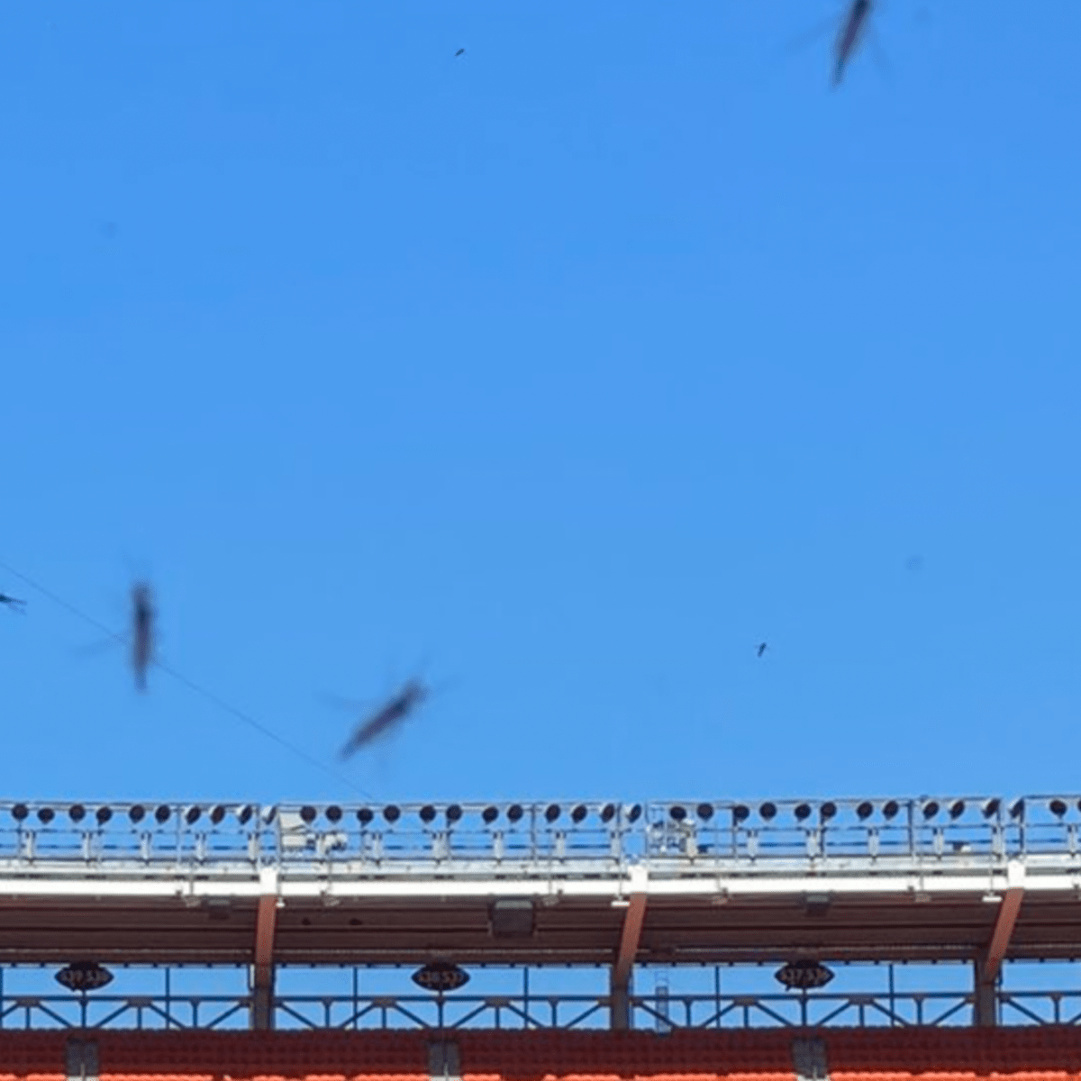 Browns proposed plan for fans at FirstEnergy Stadium: Tickets in pods,  stadium in quadrants, masks and no tailgating 