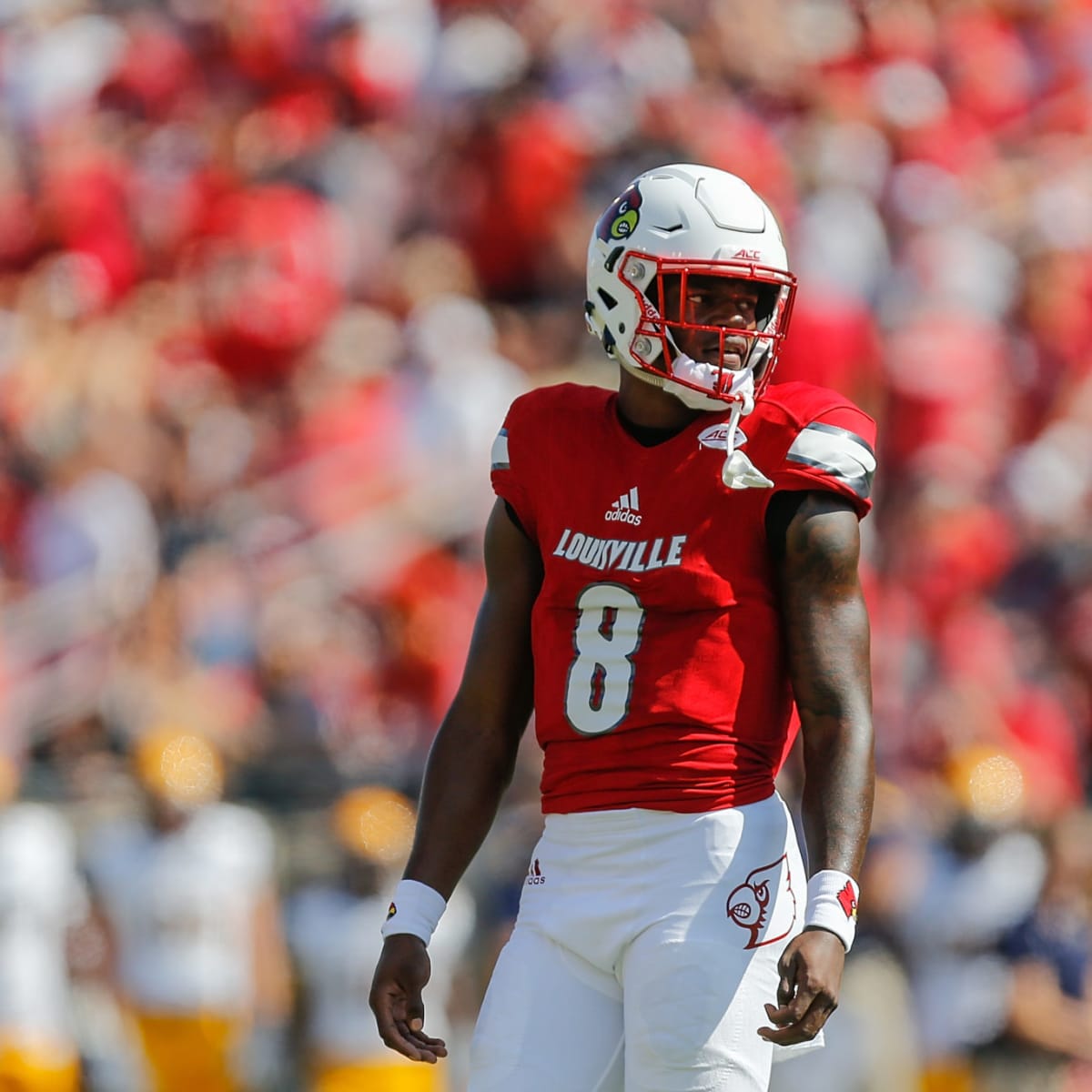 Louisville lamar jackson jersey new arrivals
