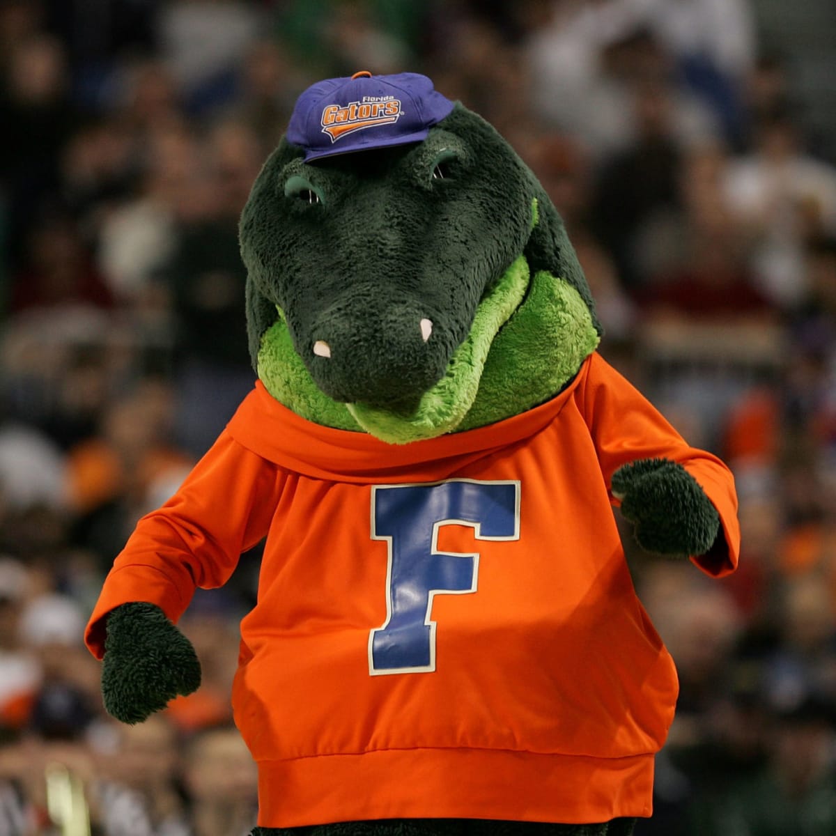 Florida gators jumpman cheap